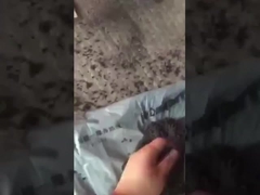 Рабочее видео гранулирования шариковых удобрений