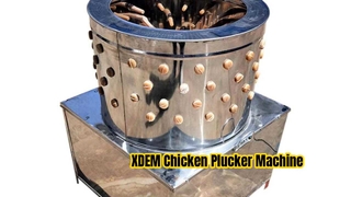 Коммерческая машина для выщипывания курицы XDEM, 60-цилиндровый депилятор для птицы из нержавеющей стали для курицы, утки