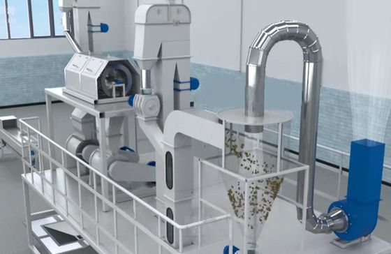 XDEM Палмовое ядро Shell Peeling Crushing Oil Press Machine Автоматическая система крекинга и разделения пальмовых орехов