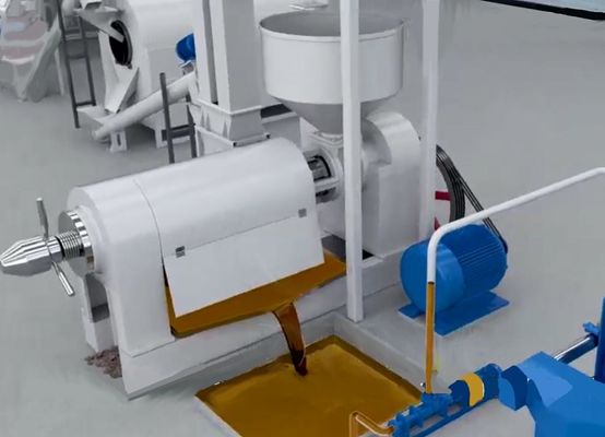 XDEM Палмовое ядро Shell Peeling Crushing Oil Press Machine Автоматическая система крекинга и разделения пальмовых орехов