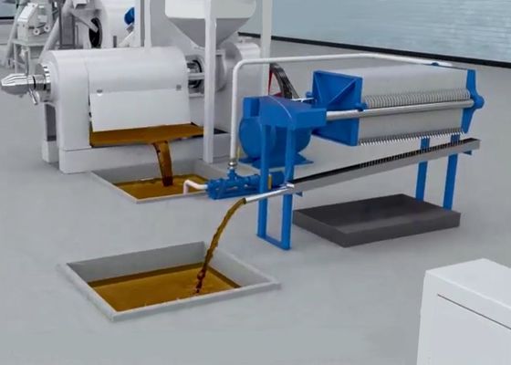XDEM Палмовое ядро Shell Peeling Crushing Oil Press Machine Автоматическая система крекинга и разделения пальмовых орехов